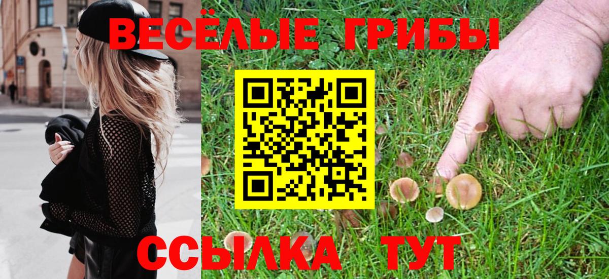 Галлюциногенные грибы Psilocybe Бугуруслан