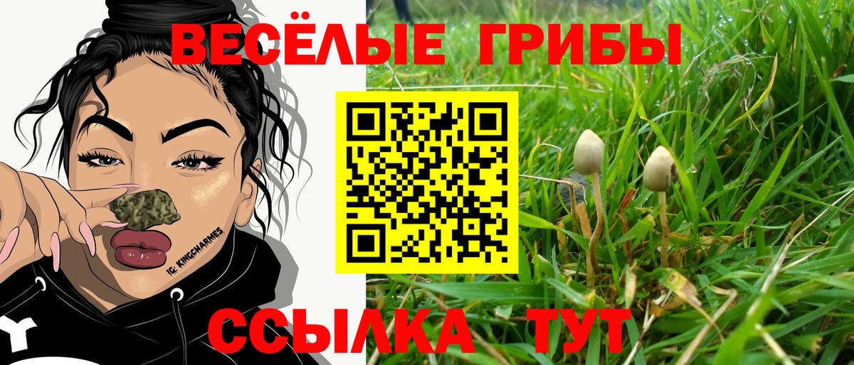 Галлюциногенные грибы Psilocybine cubensis  Вход с VPN  Бугуруслан 