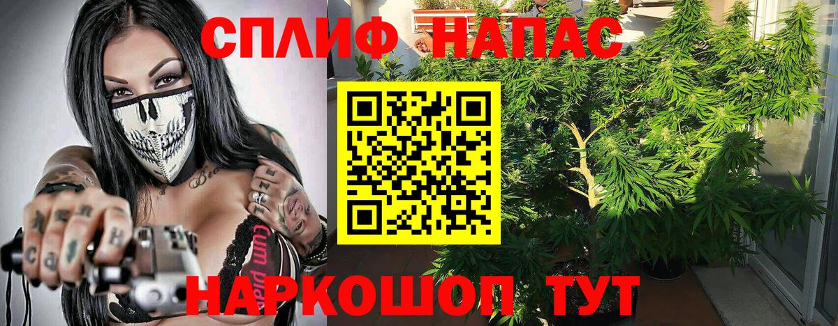 Бугуруслан  Канабис OG Kush  Вход с VPN  Каннабис ГИДРОПОН  Марихуана сатива 